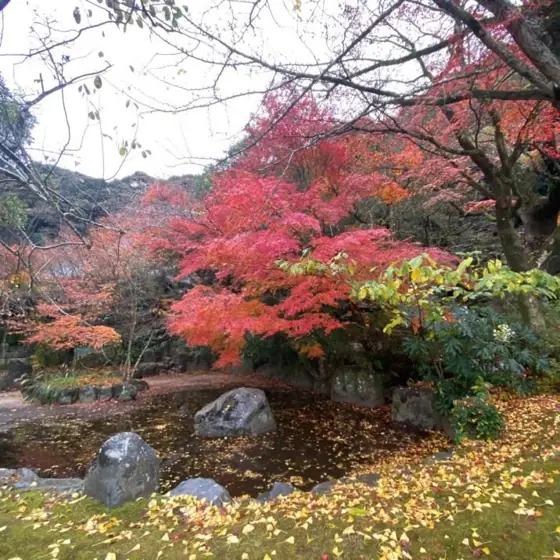 Homan-ji Temple Ruins