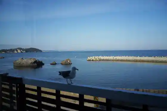 釣キチ七ヶ浜