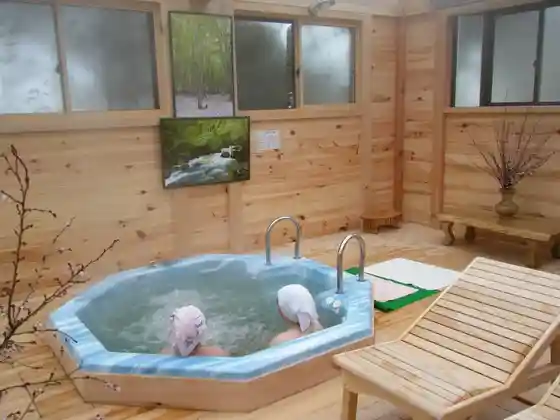 Tenmabayashi Onsen