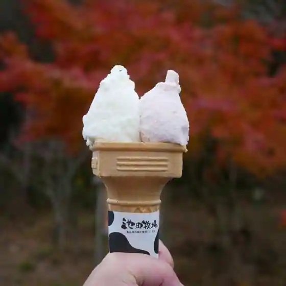 ジェラートショップ 香想