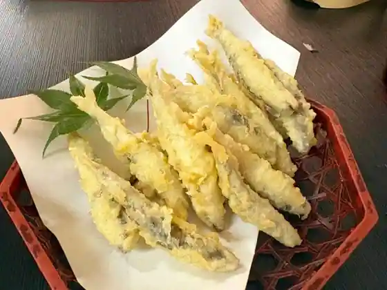 Ayu Chaya Kawase