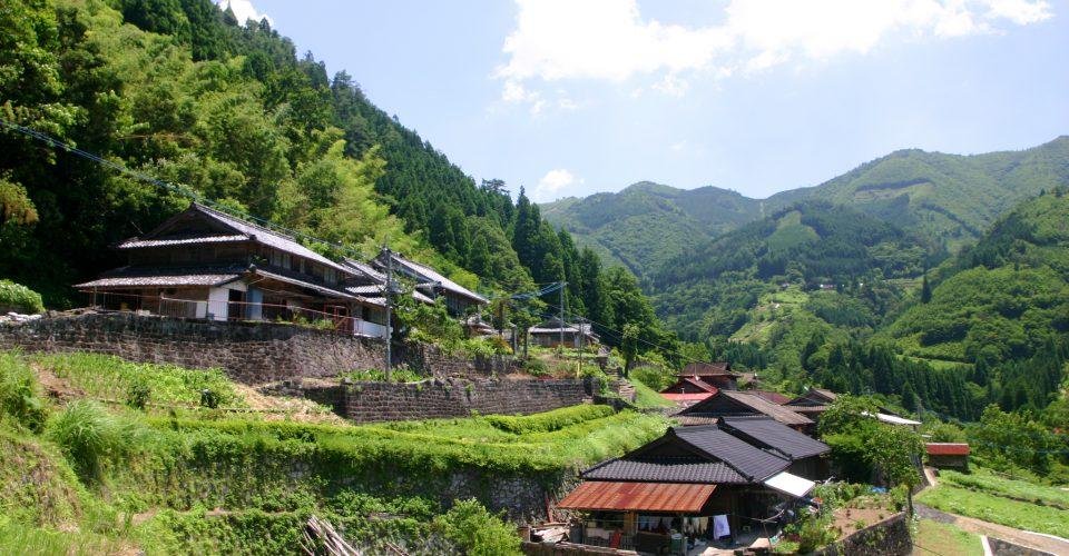 Tonegawa Settlement (Hachimura Cedars)