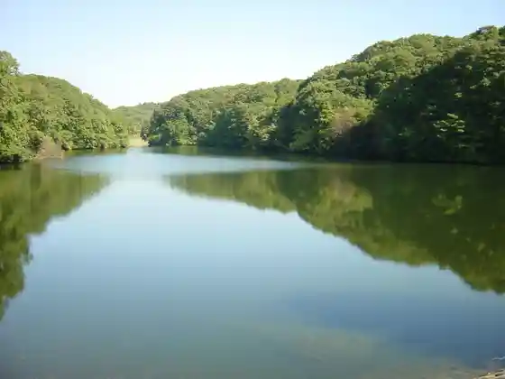 Fumin Forest (Midori no Bunka Sono Muroike Enchi)