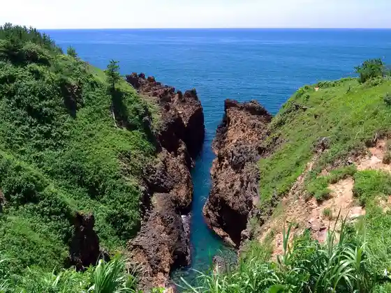 Noto Kongo