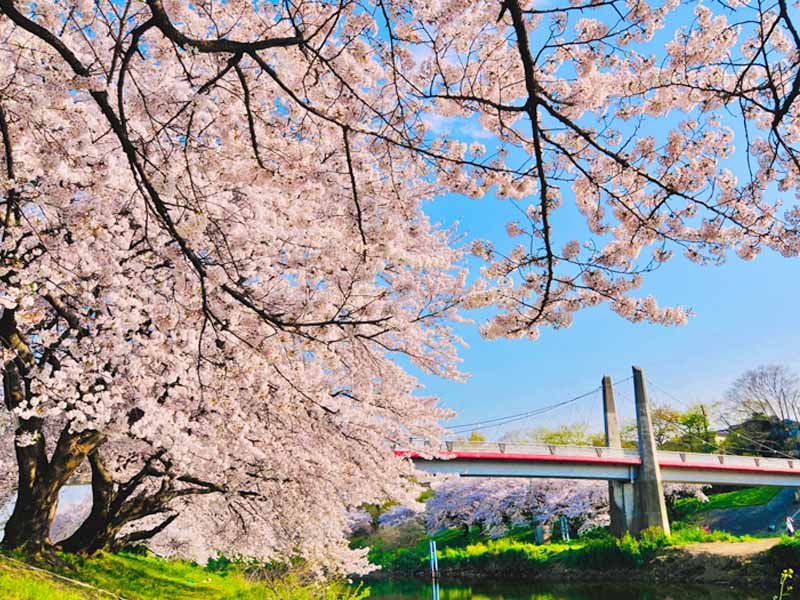 Iroha Shinsui Park