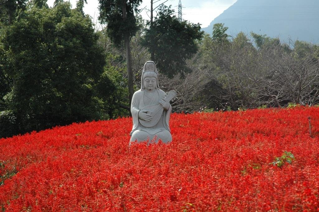 Ariake Forest Flower Park