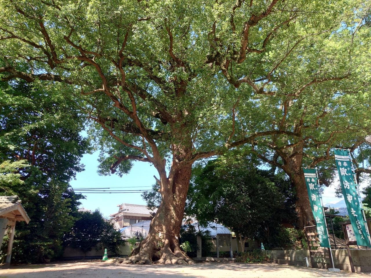 Fukae Suwa Shrine Grove