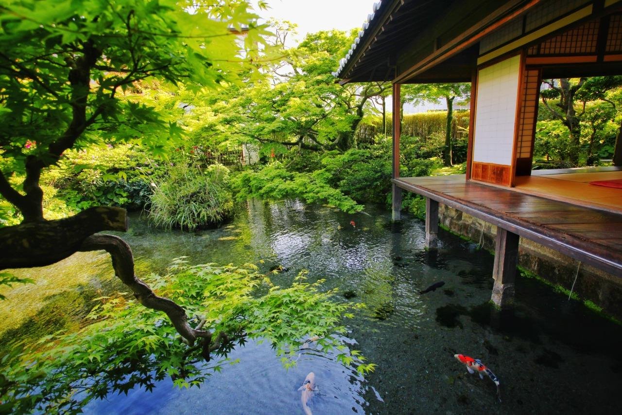 Shimeiso Spring Garden