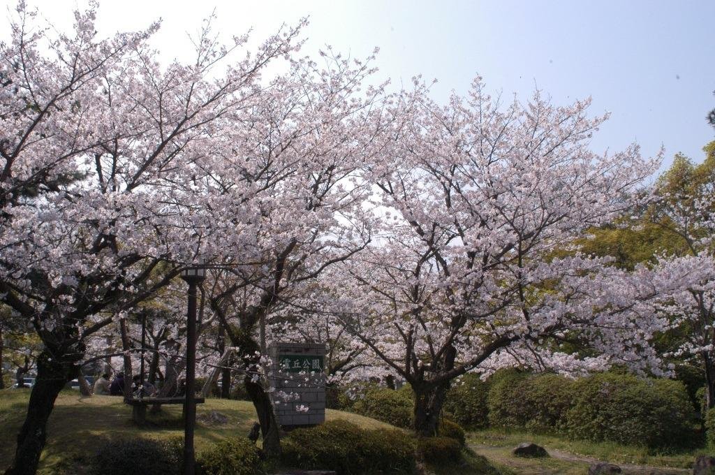 Reikyu Park