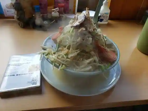 たぬきの国