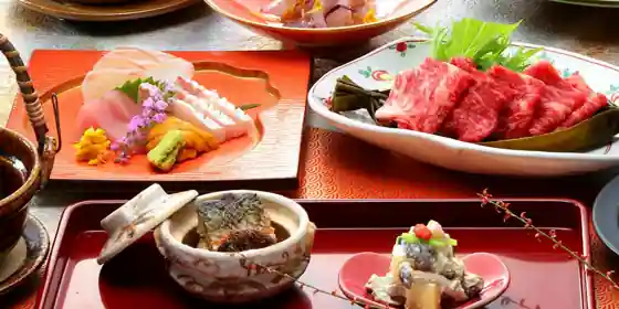 Hatago Oda Onsen