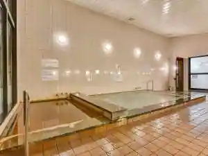 Tada Onsen Hakuryu Kan