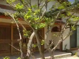 1 Nichi 2 Kumi Gentei Chisa Nao Yado Izumi Hiroshi Bo Onsen ~ Iwami Ginzan Izumotaisha No Hizamoto