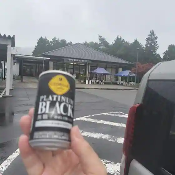 道の駅 奥出雲おろちループ