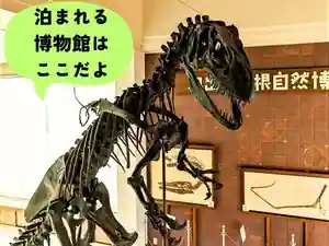 Okuizumo Tane Shizenhakubutsukan