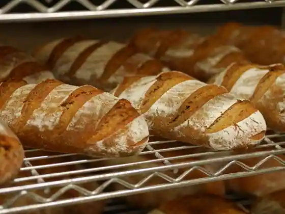 Takigigama Bakery Arume