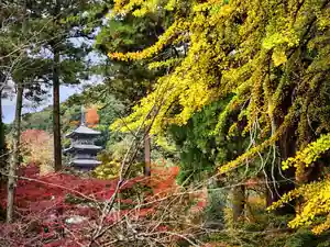 Koyo Kan