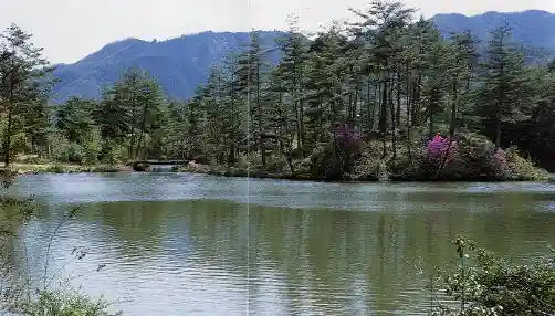Ogute Lakeside