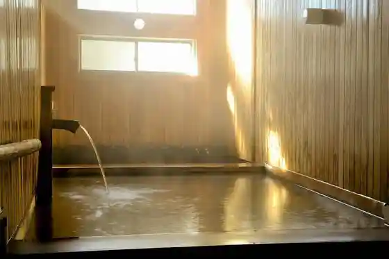 Yachiyo Onsen Seri no Yu