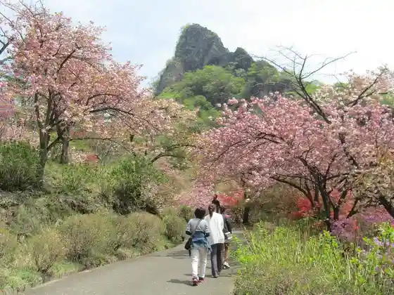 Sakura no Sato Prefectural Forest Park