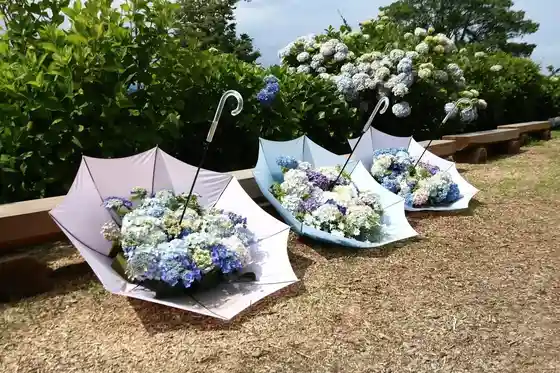 Shimonita Hydrangea Garden