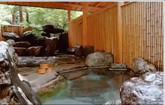 Shimonita Hot Spring Seiryu Lodge