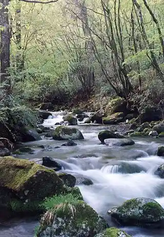 Kannon Sawa Gorge