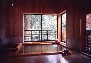 Doku Sawa Kosen