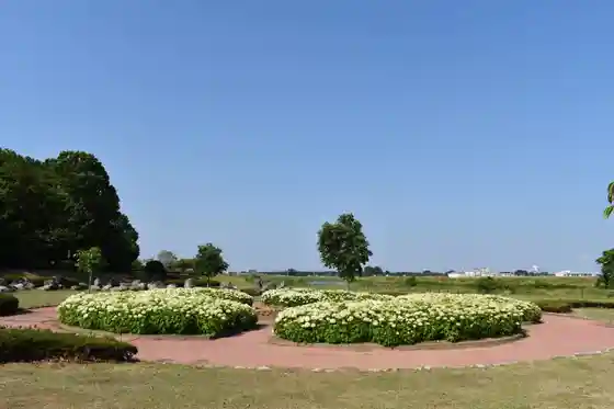 Tsurumaki Park