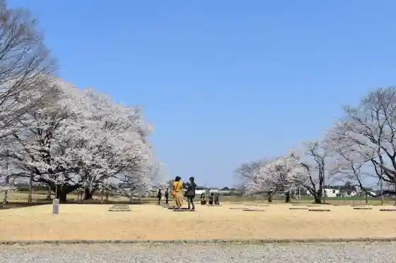 Tenpyo Hill Park