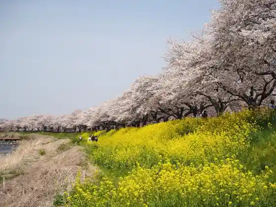 Sugatagawa Amenity Park