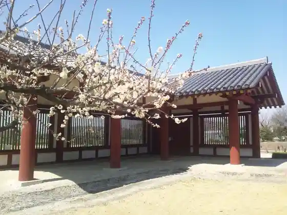 Shimotsuke Yakushiji Temple Site