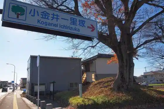 Koganei Ichirizuka