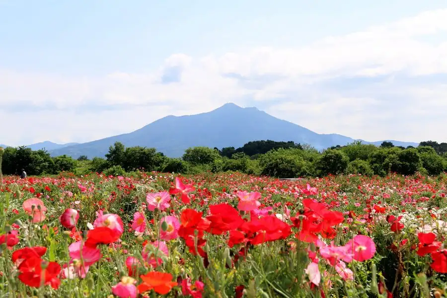 Homikku Fureai Park