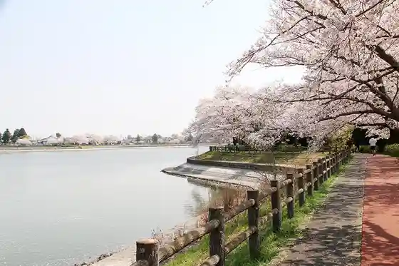 Suna Numa Koiki Park