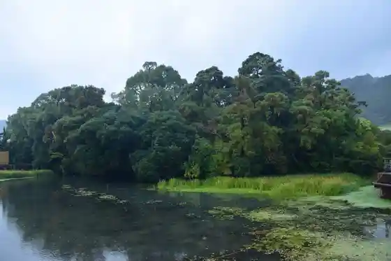 Fu Shima Forest