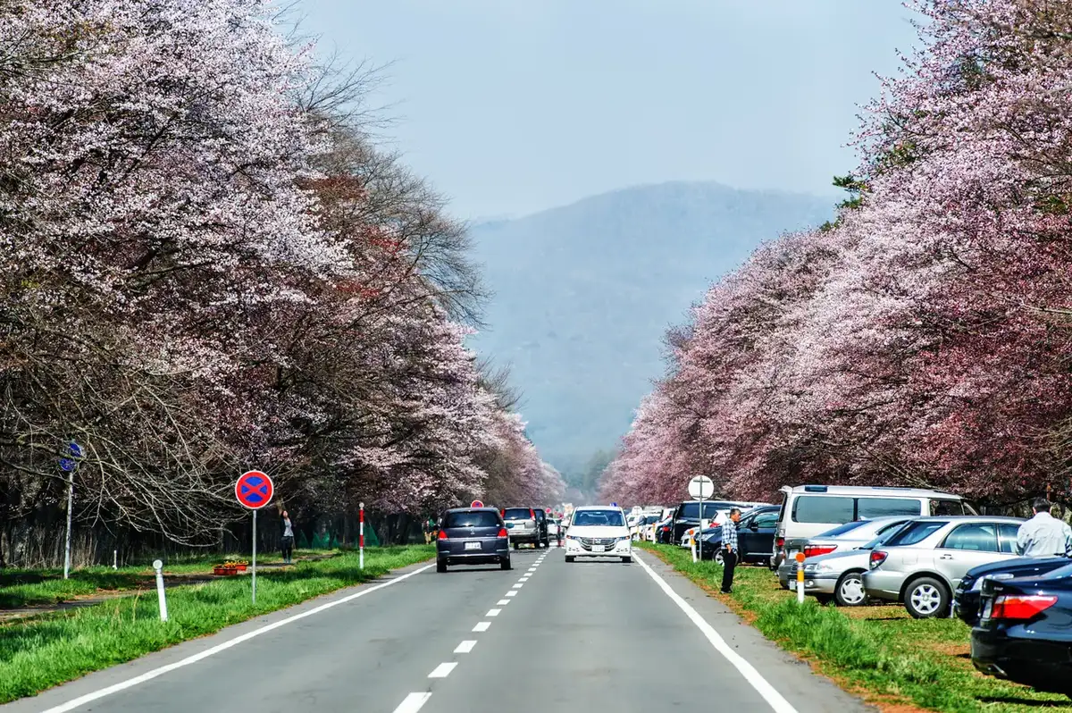 Shinhidaka, Hokkaido