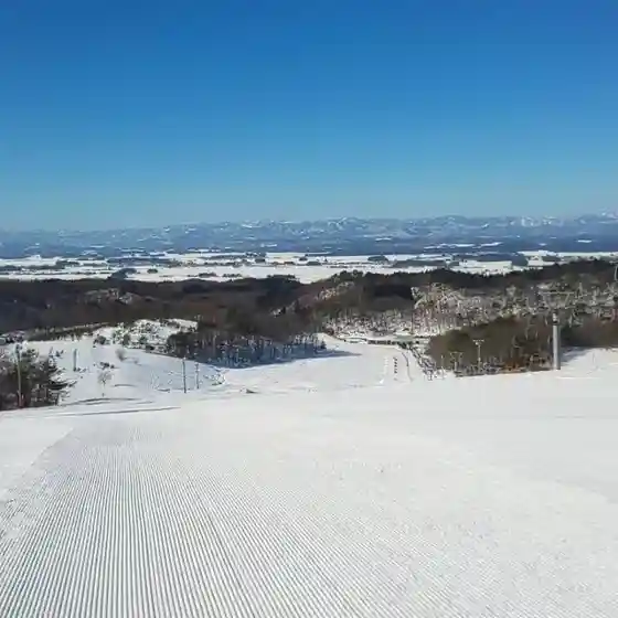 Shinjo Shimin Ski Ba