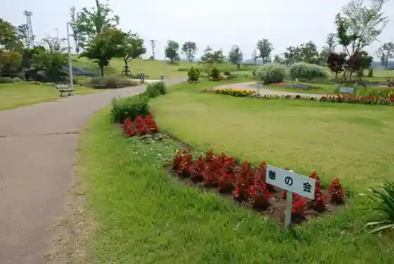 Mogami Chuo Koen Kamuten Koen
