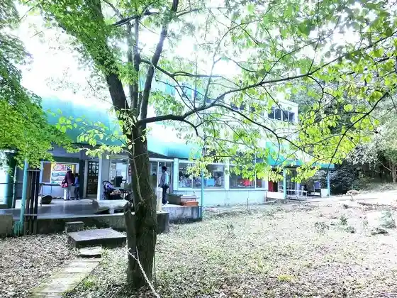 Chikyuya Haruna Glass Craft Workshop