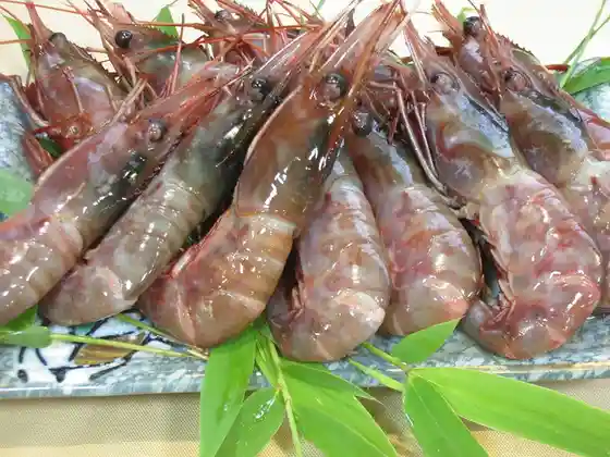 仁王寿司