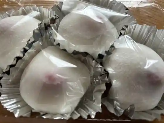 梅果堂