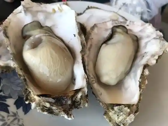 赤間水産