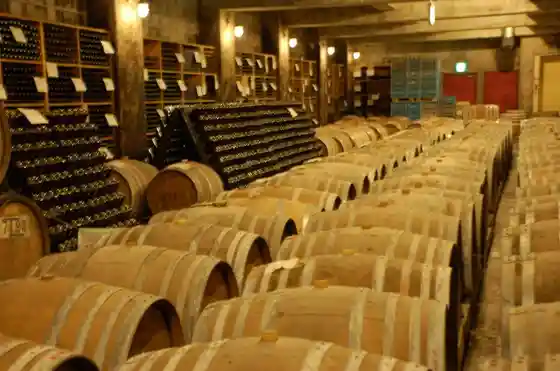 Shinano Wine