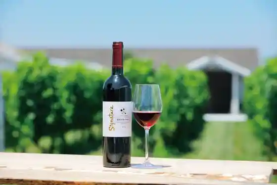 Chateau Mercian Kikyogahara Winery
