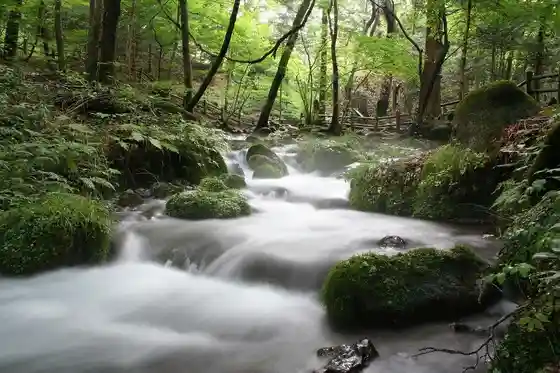 Shoninzawa Spring