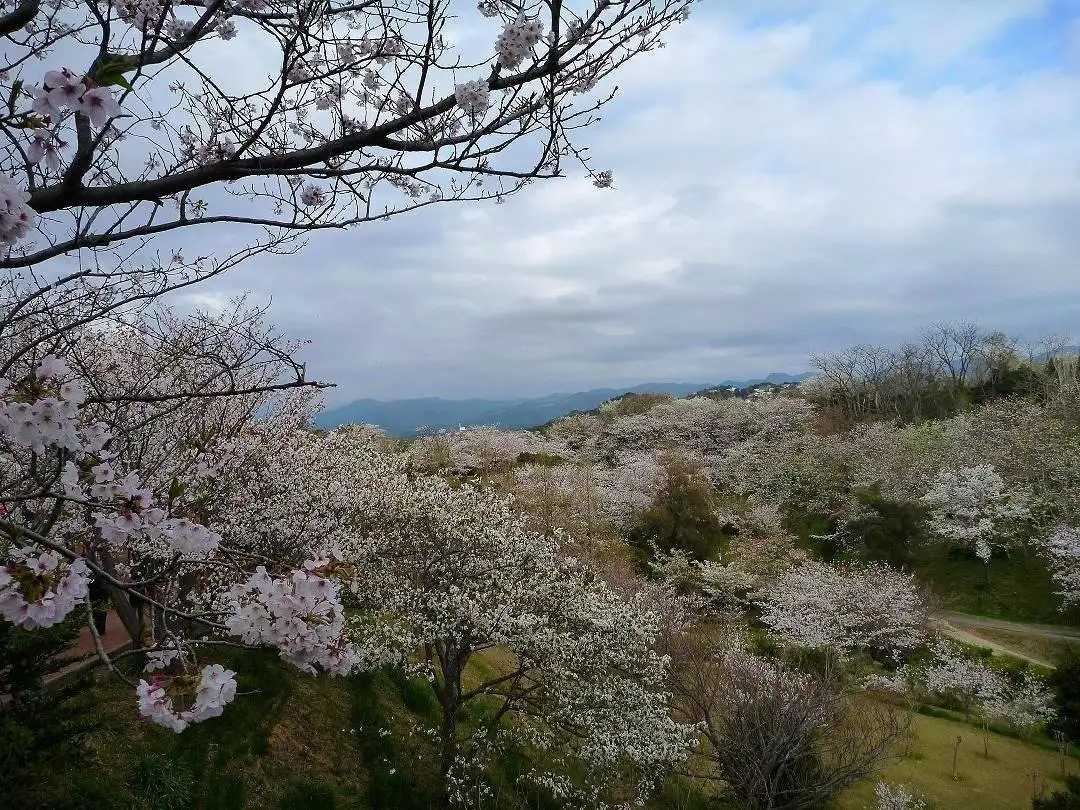 Hirakusa Hara Park
