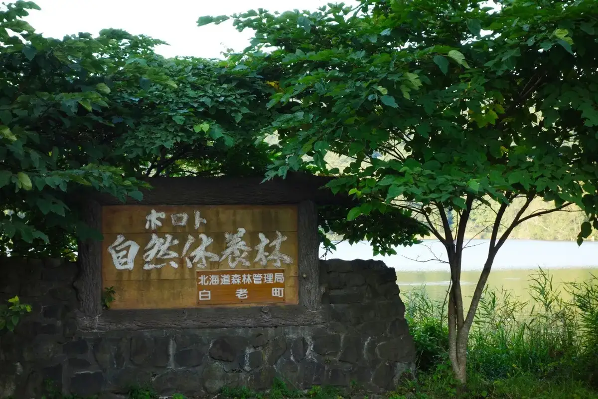 Poroto Forest