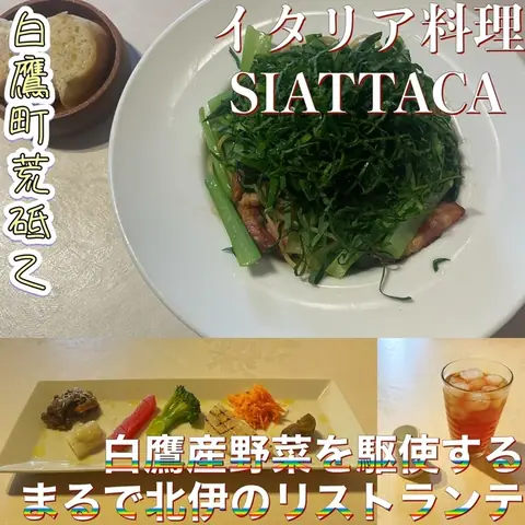 イタリア料理　シャッタカ