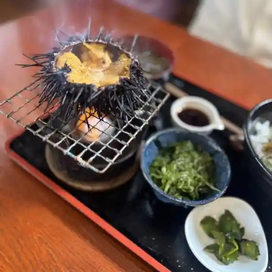 ムラカミヤ